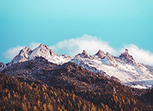 申花教练和球员夸中国高铁：不光时速最快，舒适度和效率世界最好